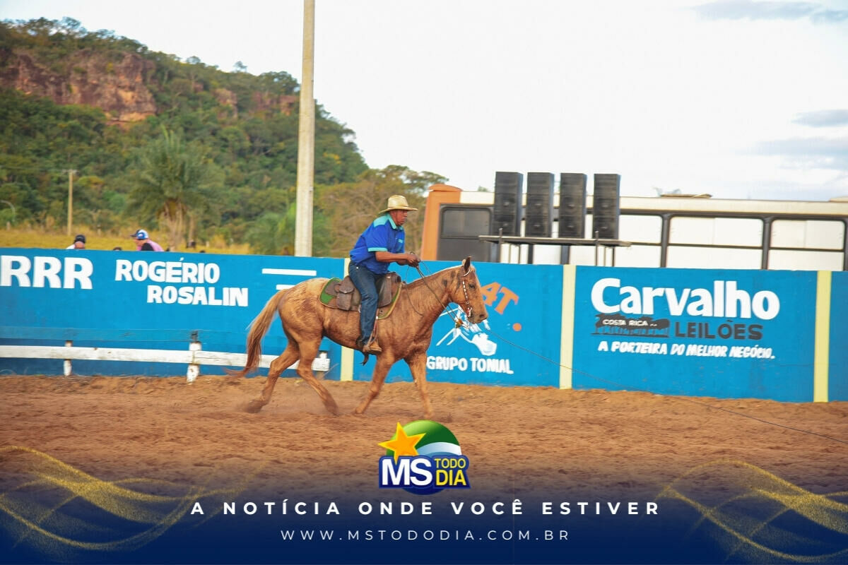 Imagem da Galeria